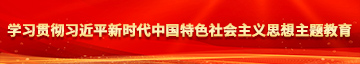 啊啊啊操网站学习贯彻习近平新时代中国特色社会主义思想主题教育